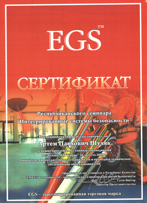 Сертификат EGS Шуляк Артем