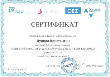 Сертификат TECO Константин Дулида